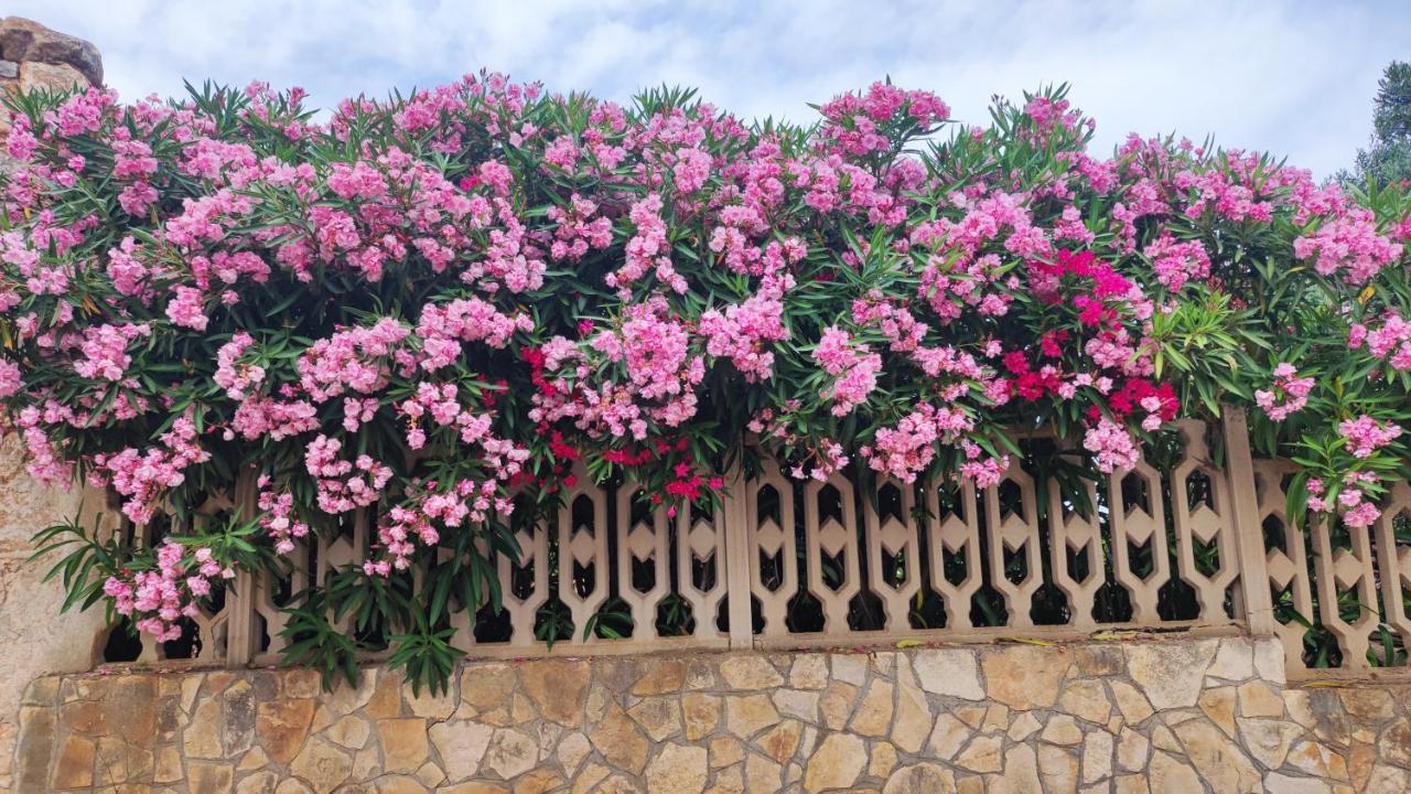 הוילה אוסטוני Casa Mirabilis 44 מראה חיצוני תמונה