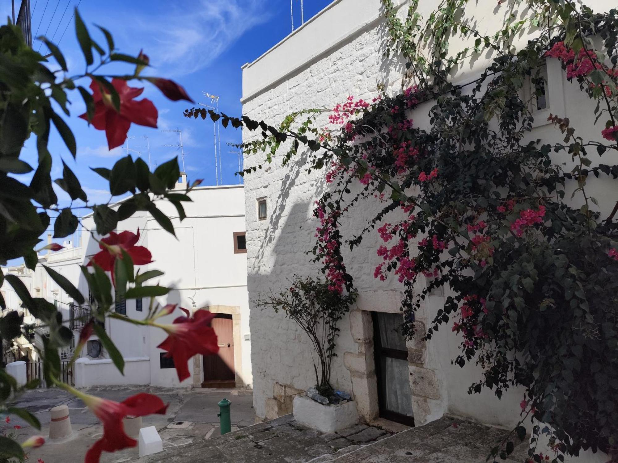הוילה אוסטוני Casa Mirabilis 44 מראה חיצוני תמונה